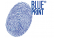 BLUEPRINT